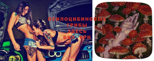 мяу мяу мука Вязьма